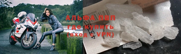 гашик Арсеньев