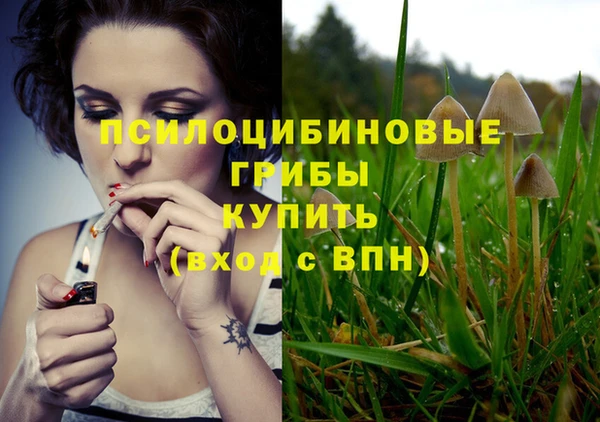 не бодяженный Армянск