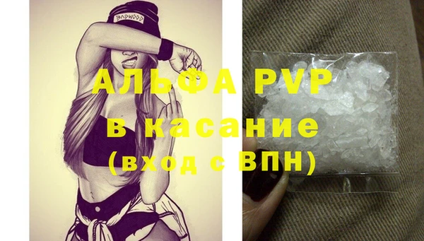 гашик Арсеньев